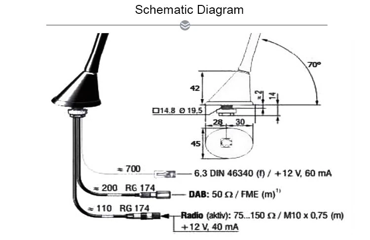 Free Sample High Quality Trustworthy Vehicle Am FM DAB Radio Antenna