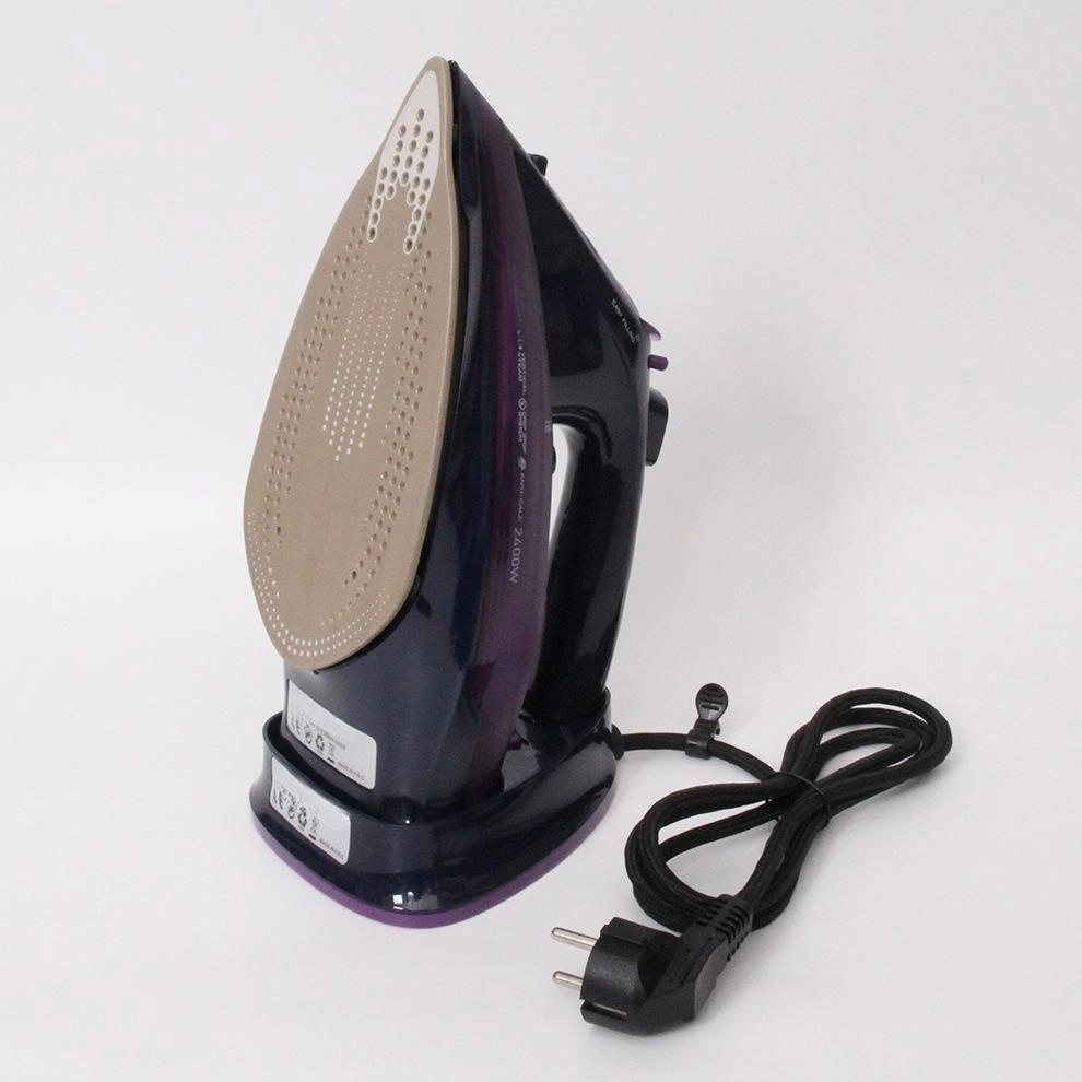 Access Stainless Steel Soleplate Steam Iron Fabric Steamer Garment Steamer