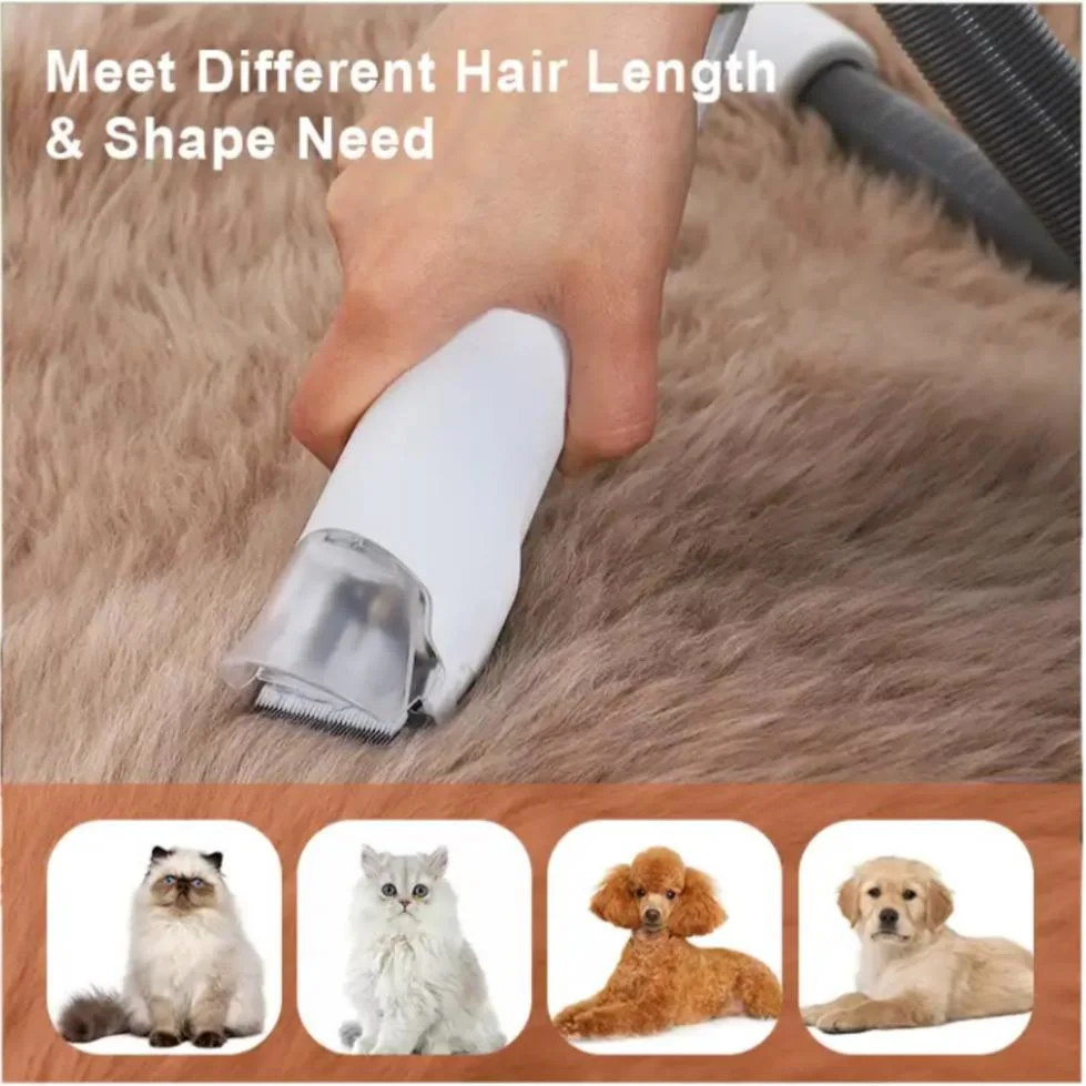 Professional Quiet Pet Grooming Vacuum for Shedding Thick &amp; Thin Dogs Cats