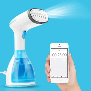 China Manufacturer of Electric Portable Mini Garment Steamer Remove Wrinkles