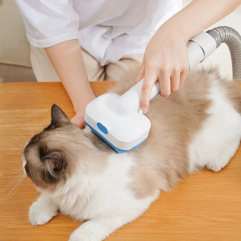 6 in 1 Pet Electric Hair Vacuum Cleaner Pet Cleaning &amp; Grooming Products Cat Dog Accessories