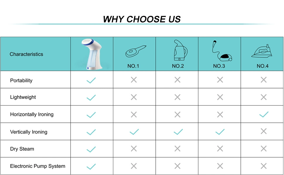 Professional Factory of Mini Electric Garment Steamer with Ce