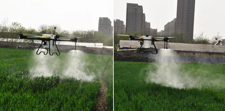 Spraying Paddy Bugs in Rice Farm Using Helicoptor Fumigation Spraying Uav Drone