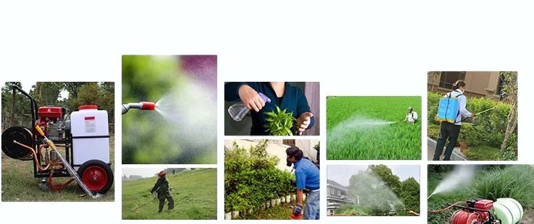 Portable Agricultural Electric Spray with 220V High-Pressure Double Cylinder Plunger Pump