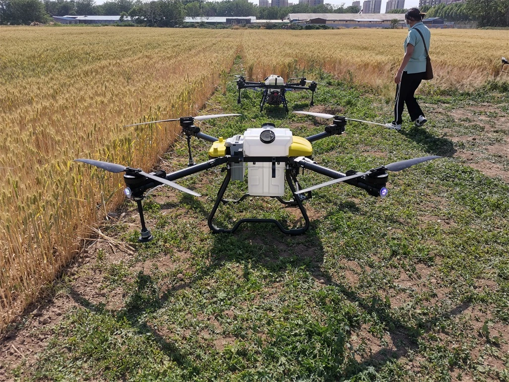 Spraying Paddy Bugs in Rice Farm Using Helicoptor Fumigation Spraying Uav Drone