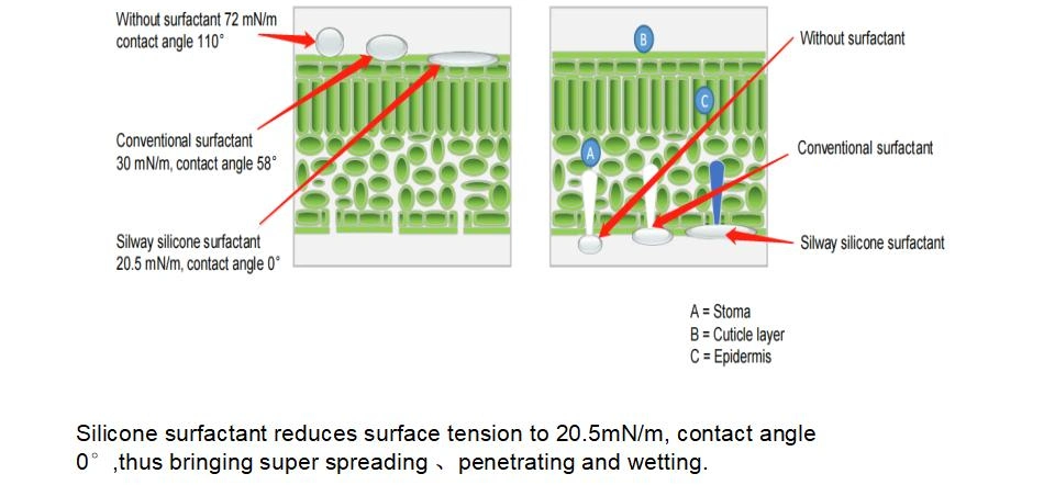 Foliar Spray Adjuvant with Super Spreading and Wetting in Agricultural Drone and Drip Irrigation