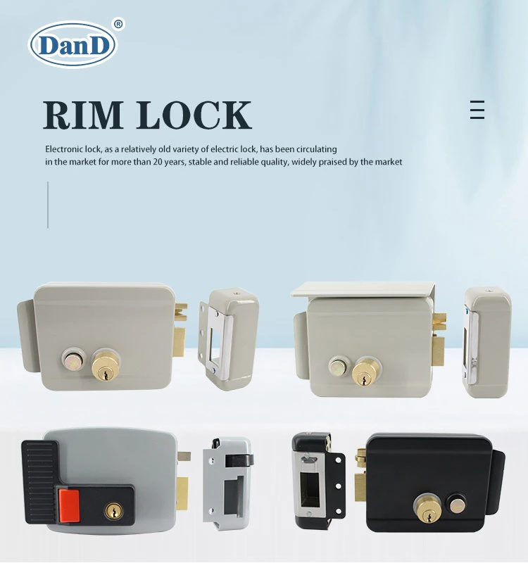 Hot Sale OEM Factory Brass Cylinder Smart Electric Rim Lock for Outer Door