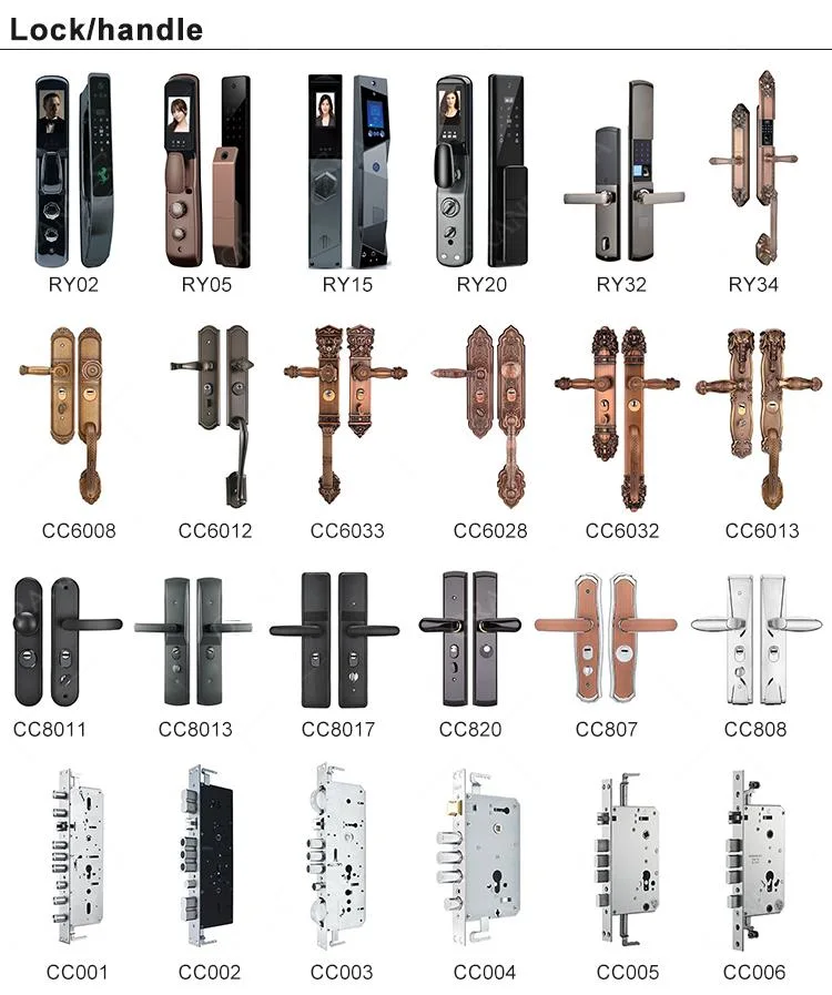 Luxurious Mortise Lock Entry Entrance Front Door Security Doors Homes Entrance Steel Doors for Home