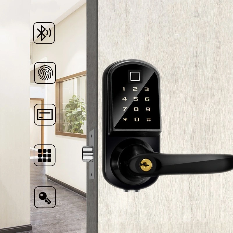 Touch Keypad Wireless Remote Control Bt Door Lock for Office Hotel Apartment Security Tt Lock APP