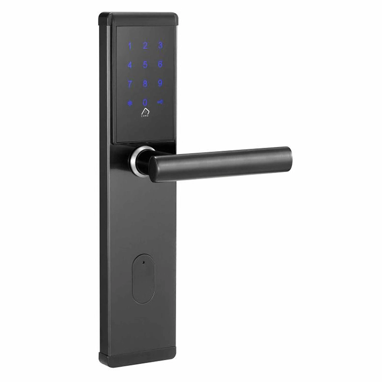 Apartment Management Entrance Digital Electronic Remote Control Smart Lock