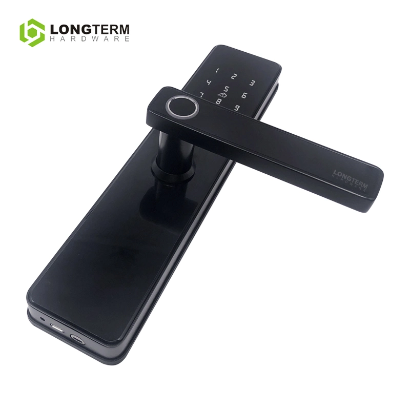 Password RFID Card Keyless Electric Digital WiFi Smart Door Lock Fingerprint Door Lock Biometric Smart Lock Outdoor