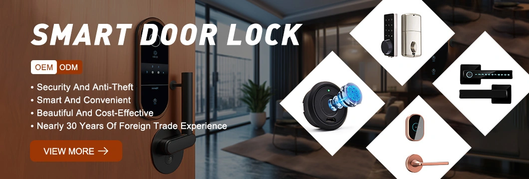 Security Glass Door Keyless Ttlock Small Door Lock Fingerprint Digital Cerradura Intelligente Smart Lock Door