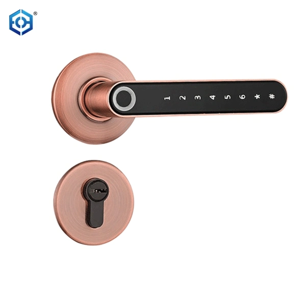 Smart Fingerprint Keypad Password Door Lock Anti-Theft Security Handle Lock