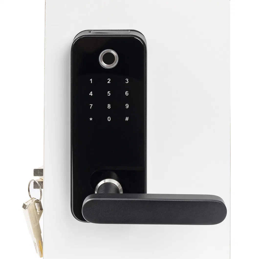 Smart Door Lock for Home Airbnb Apartment Project