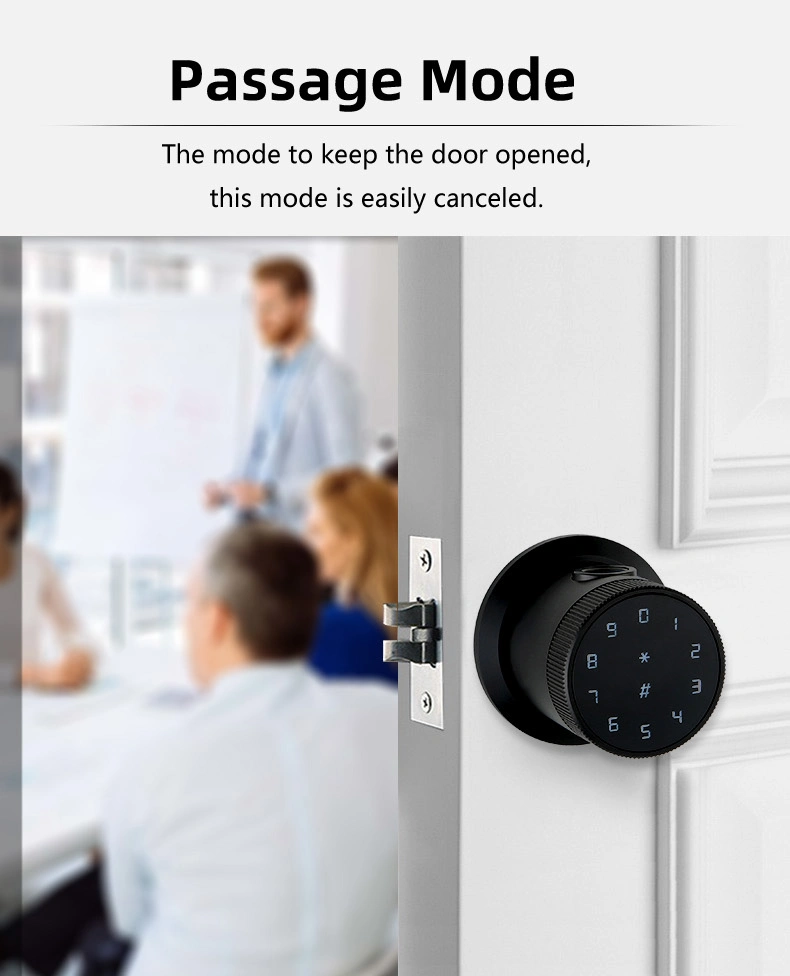 Smart Knob Lock Keyless Entry Biometric Fingerprint Door Lock