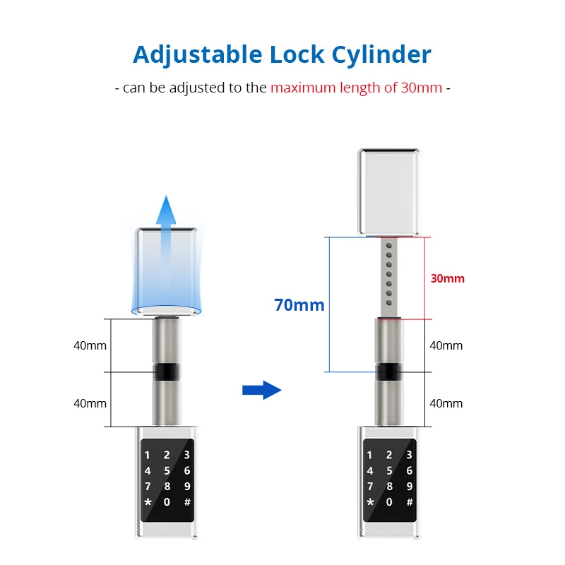 RFID Card Keyless Electronic Digital Cylinder Smart Door Lock with Ttlock APP