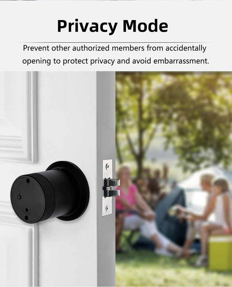 Smart Knob Lock Keyless Entry Biometric Fingerprint Door Lock