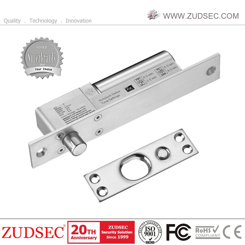 Low Temperature Electric Drop Bolt Lock with Time Delayer for Wooden/Metal/Glass/Fireproof Door