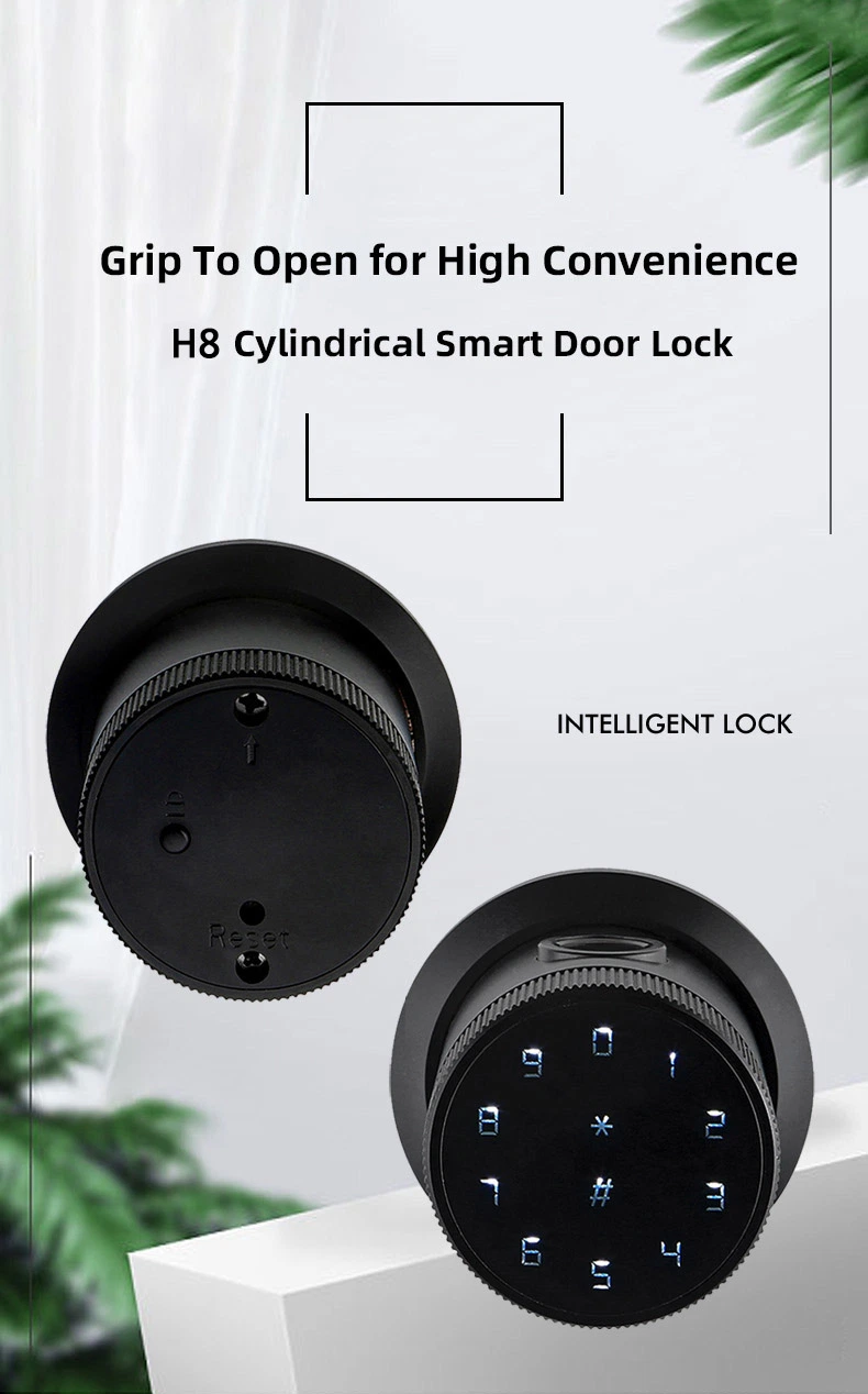 Smart Knob Lock Keyless Entry Biometric Fingerprint Door Lock