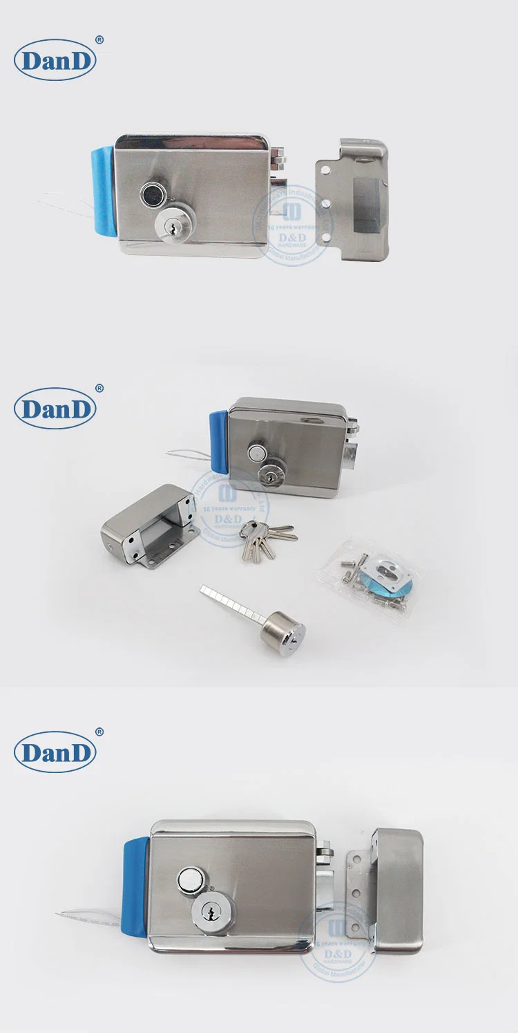 Surface Mounted Double Brass Cylinder Latch Rim Lock for Middle East Market