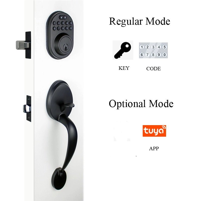 Tuya Black Color Smart Entrance Lock