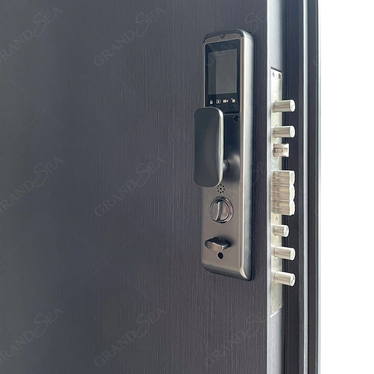 Modern American Luxury Black House Exterior Security Stainless Steel Front Entry Doors with Smart Lock