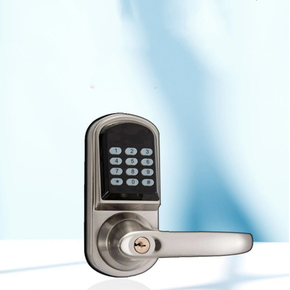 New Style Handle Anti-Theft Smart Locks Suitable Hotel Apartment for Garage