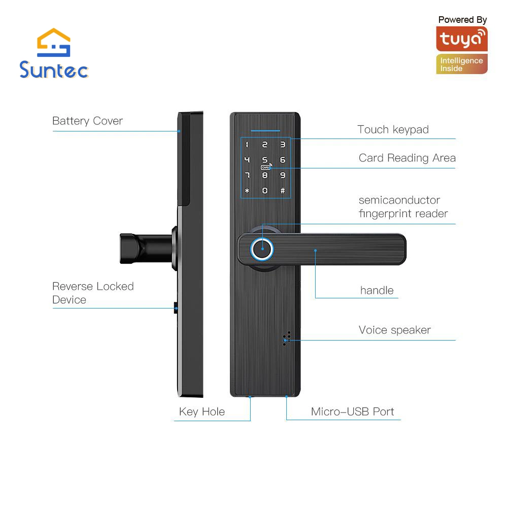 Smart Fingerprint Door Lock Electronic Display Keyless Entry Electronic Lock Fingerprint