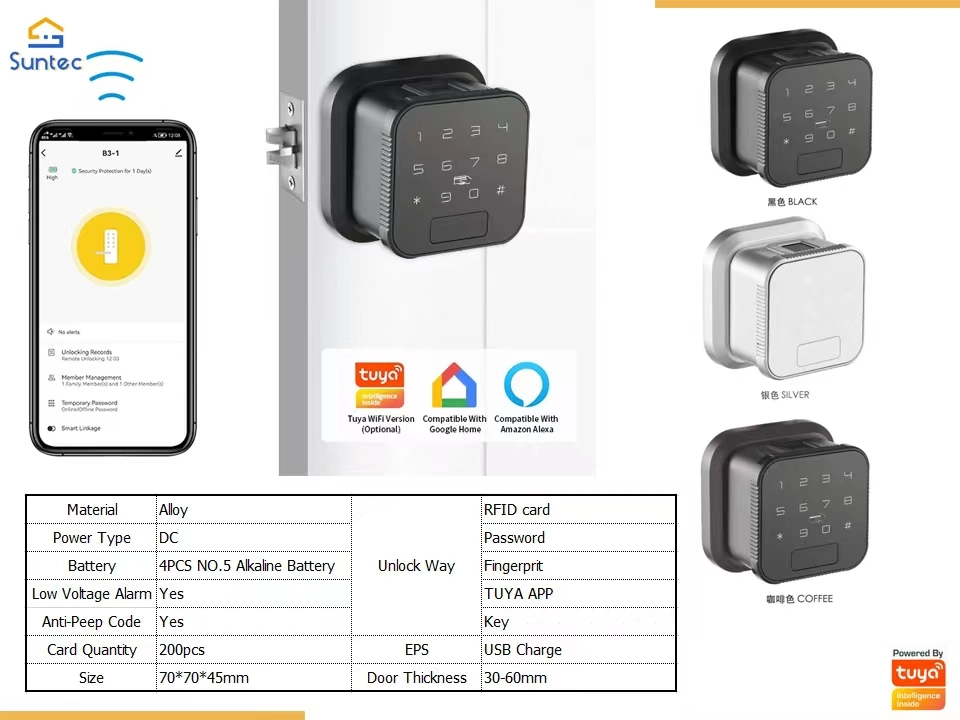 Smart WiFi Tuya Door Lock for Indoor with Low Voltage Alarm