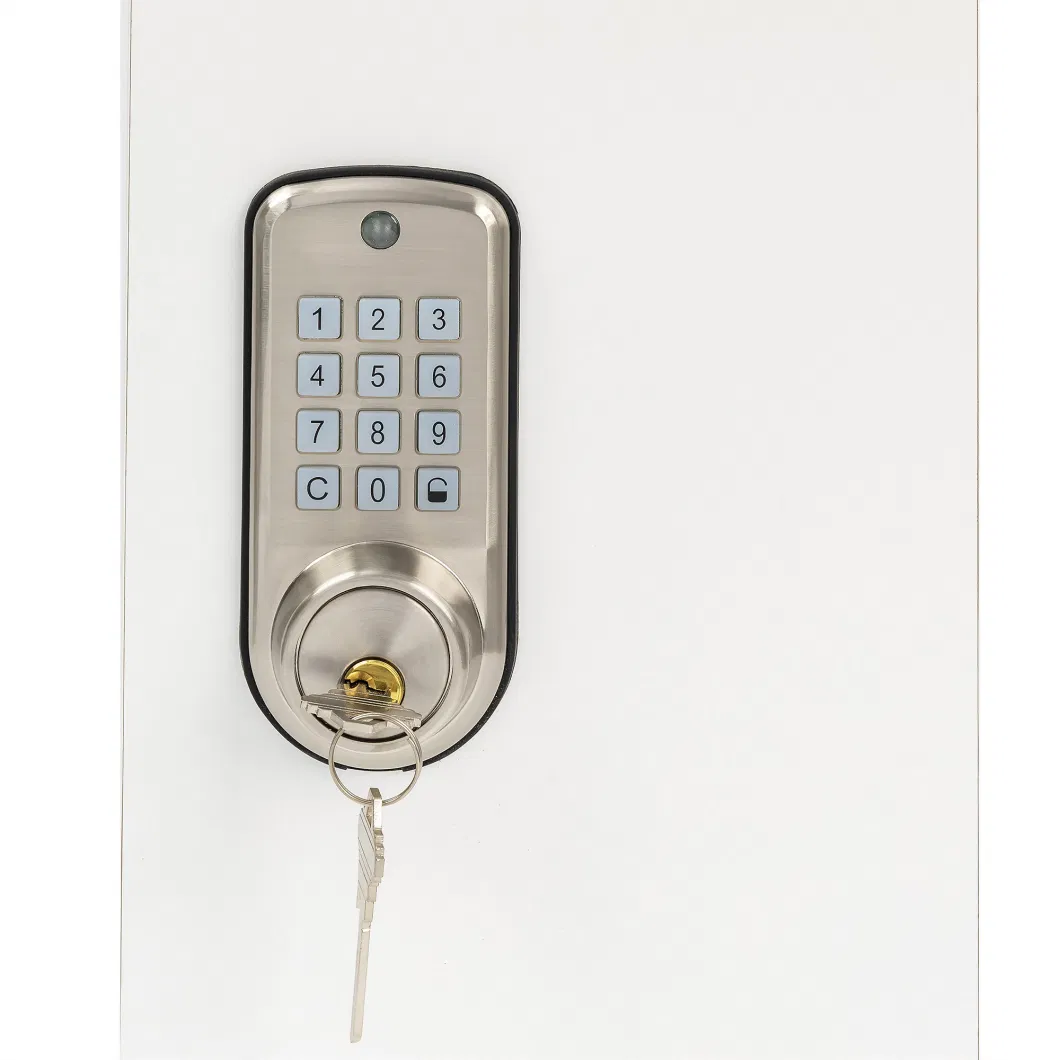 Smart Lock Passcode and Key Smart Lock for Front Door