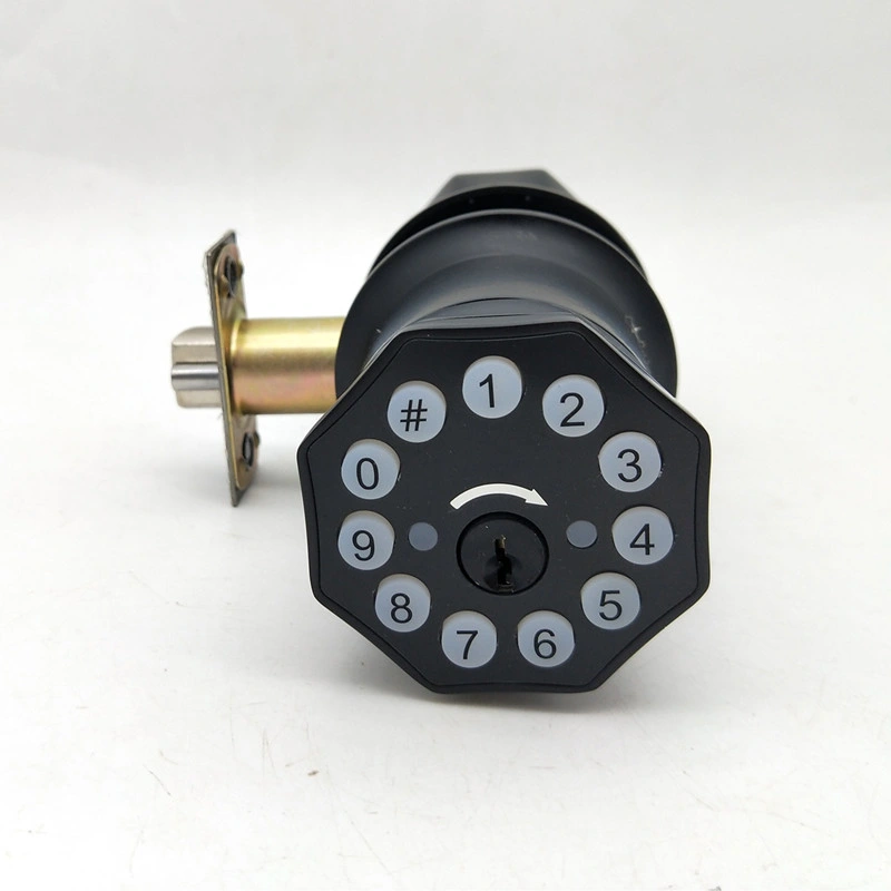 Intelligent Electronic Smart Door Lock with Deadbolt Knob Push Button