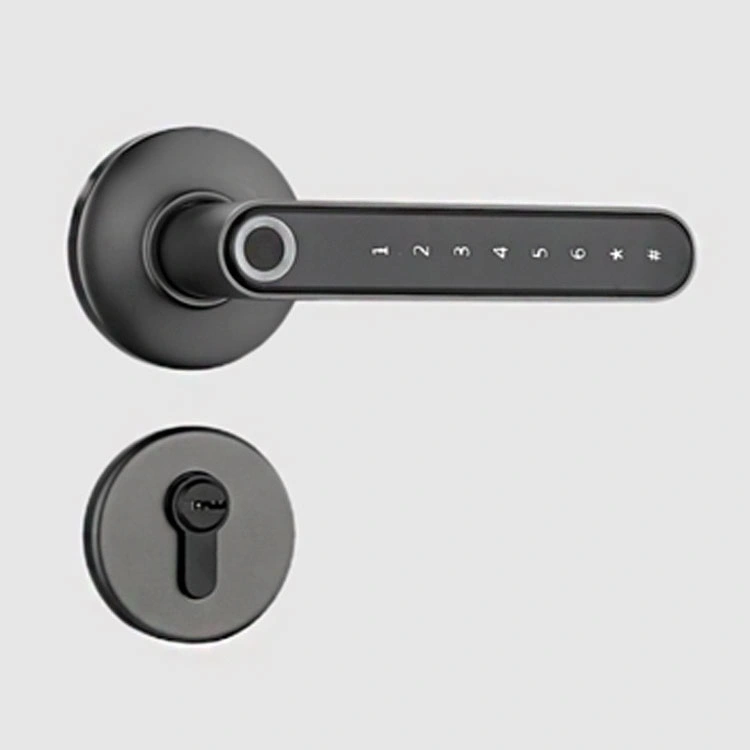 Fingerprint Door Lock Keyless Entry Door Lock Smart Door Locks with Keypads Handle Fingerprint Password Keys Unlock Easy to Install for Home APP Electronic Lock