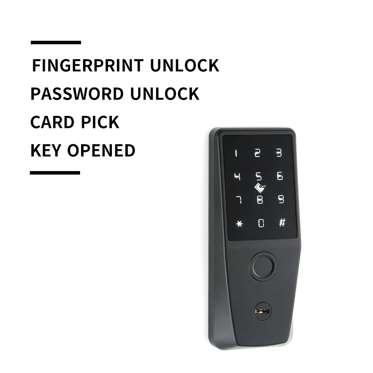 Digital Intelligent Deadbolt/ Smart Lock with Fingerprint and Mechanical Keyboard Avaiable