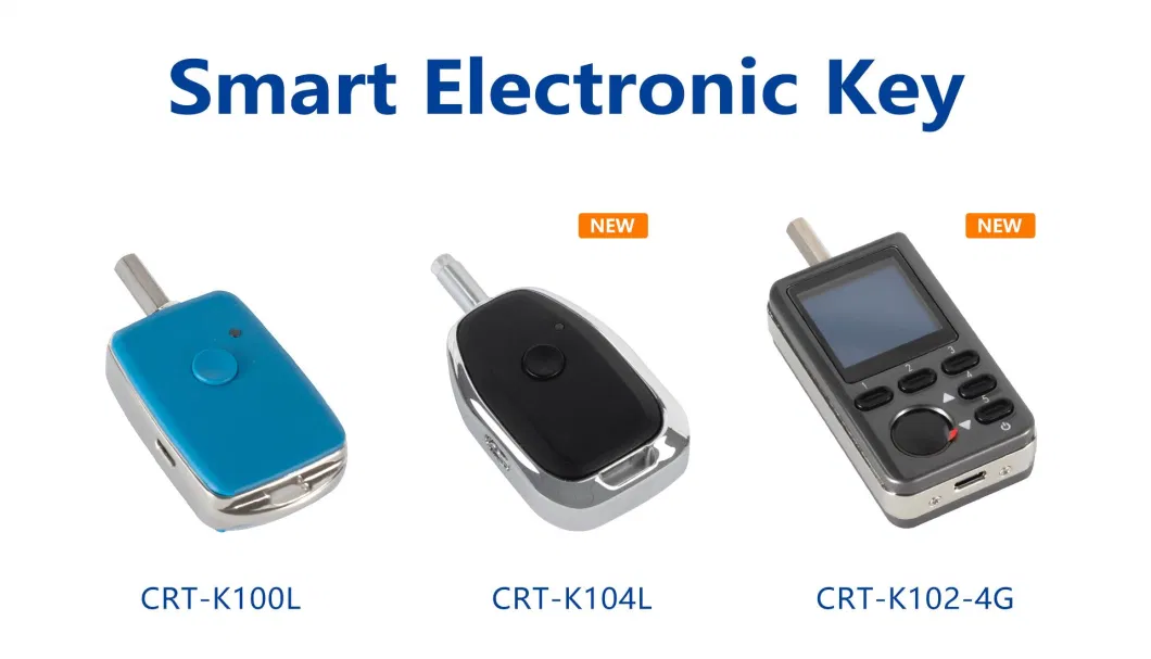 Smart Key Management Outdoor Turning Tongue Safe Lock with Access Control System