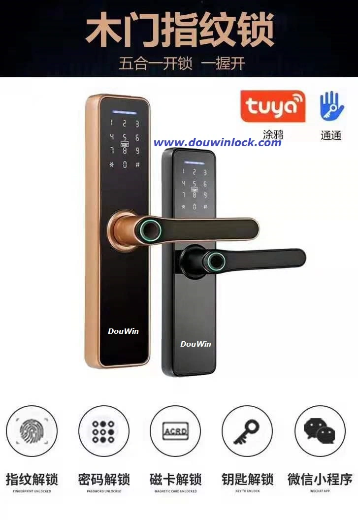 Your Local Language Voice Speaker NFC Tuya APP Face Recognition Fingerprint Door Lock