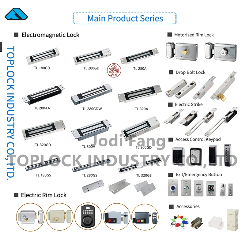 Electric Lock Factory Deadbolt Lock for Access Control System