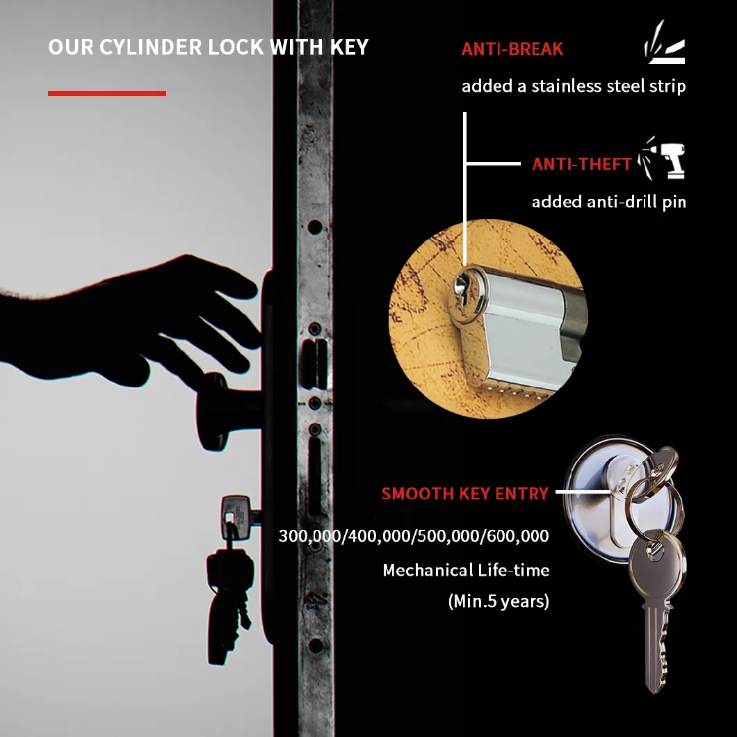 Brass Mortise Computer/Normal Key Euro Entry Door Cylinder Lock Set