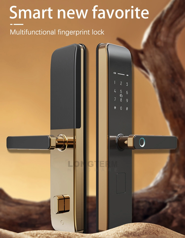 Digital Fingerprint WiFi Ttlock Smart Entry Door Lock with RFID Card Key