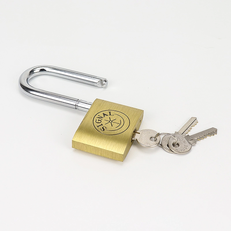 Safety Brass Cylinder 40mm China Smart Pad Lock