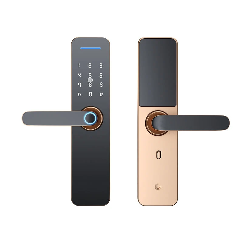 Smart Card Fingerprint Interior Wooden Doors Lock Home Office Round Ball Deadbolt Latch Fingerprint Smart Locks