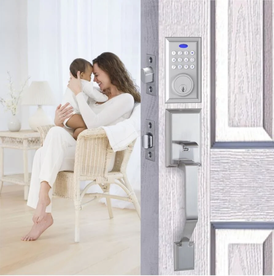 Digital Keypad Password Bluetooth WiFi Electronic Smart Handle Safe Door Lock (315)