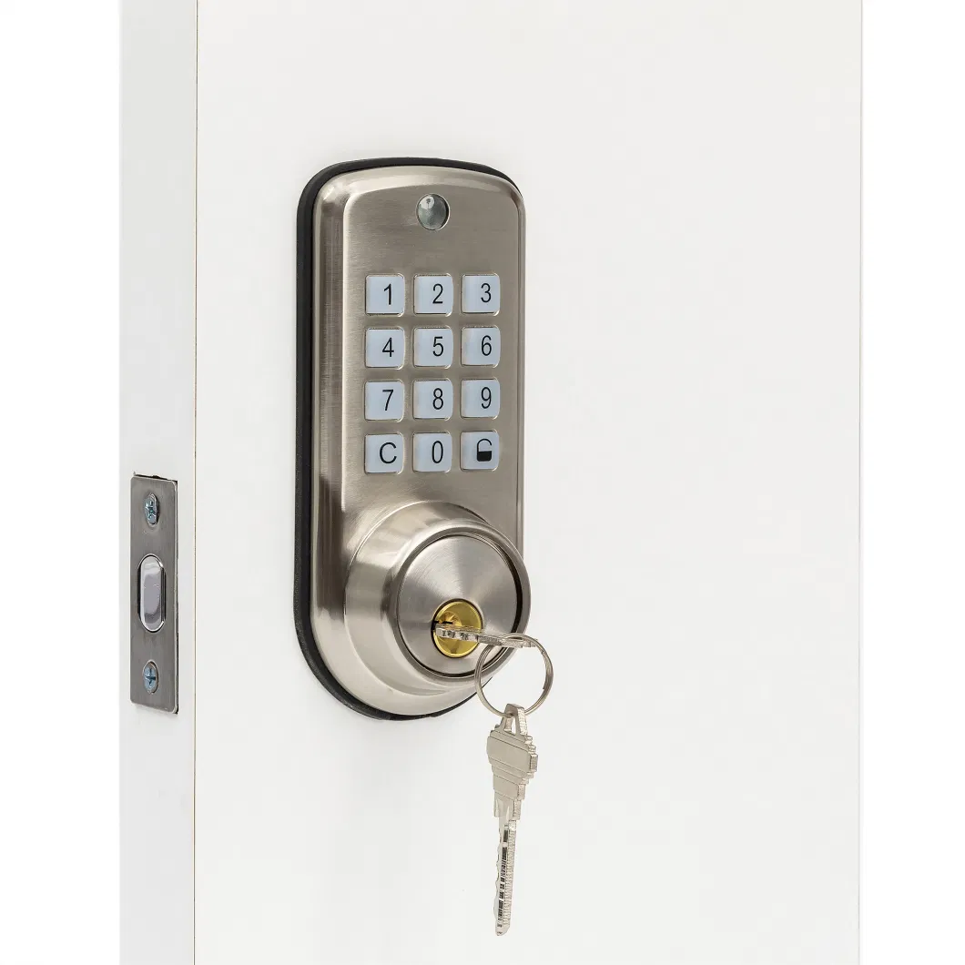 Wireless Password Biometric Fingerprint Tuya APP Intelligente Digital Cerradura Smart Deadbolt Lock Wood Door