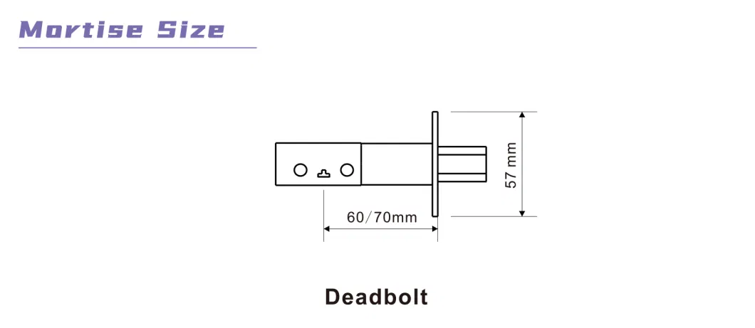 Quick Installation Electronic Locks Smart Lock Digital Deadbolt Cerraduras Inteligentes WiFi Tuya APP Dead Bolt Smart Door Lock