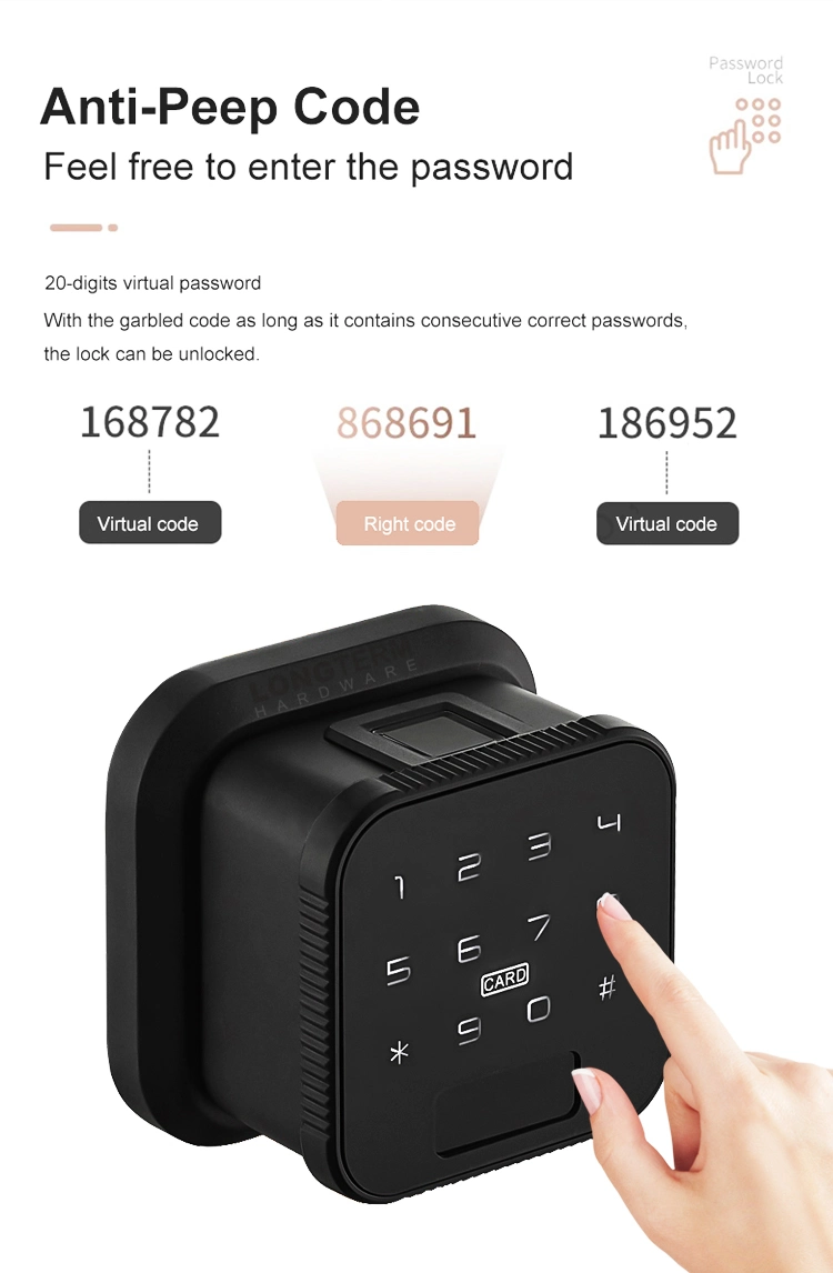 Password RFID Card Keyless Electric Digital WiFi Smart Door Lock Finger Print Door Lock Biometric Smart Lock Outdoor