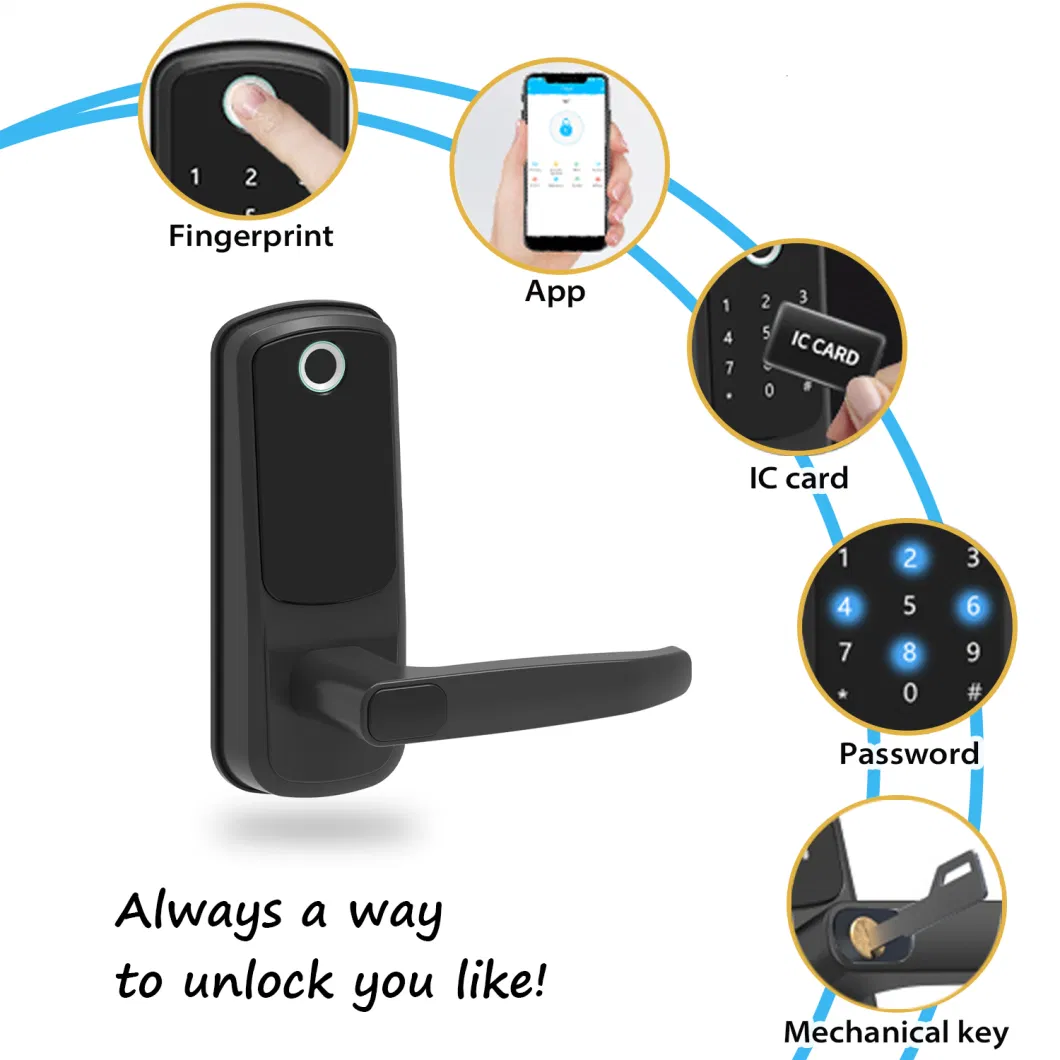 High Security Level Multifunctional WiFi Password Card Smart Lock for Rental Property Management