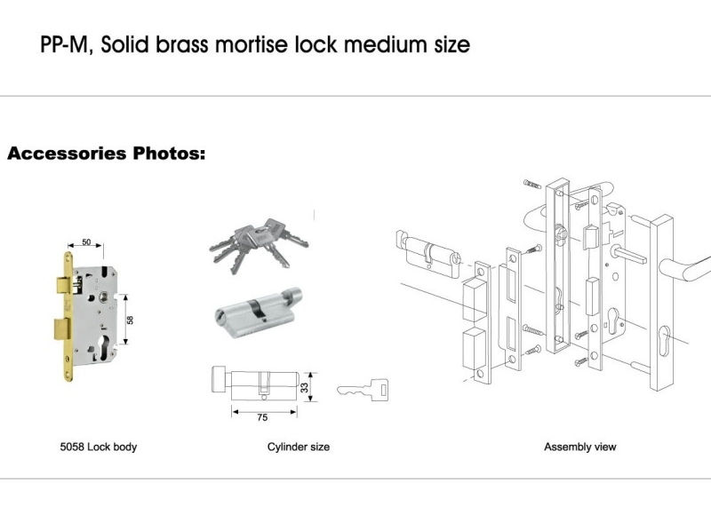 Multi -Style Luxury Door Handles Hardware Zinc Alloy Door Lock Plate Handle (PP-M0981ACC)