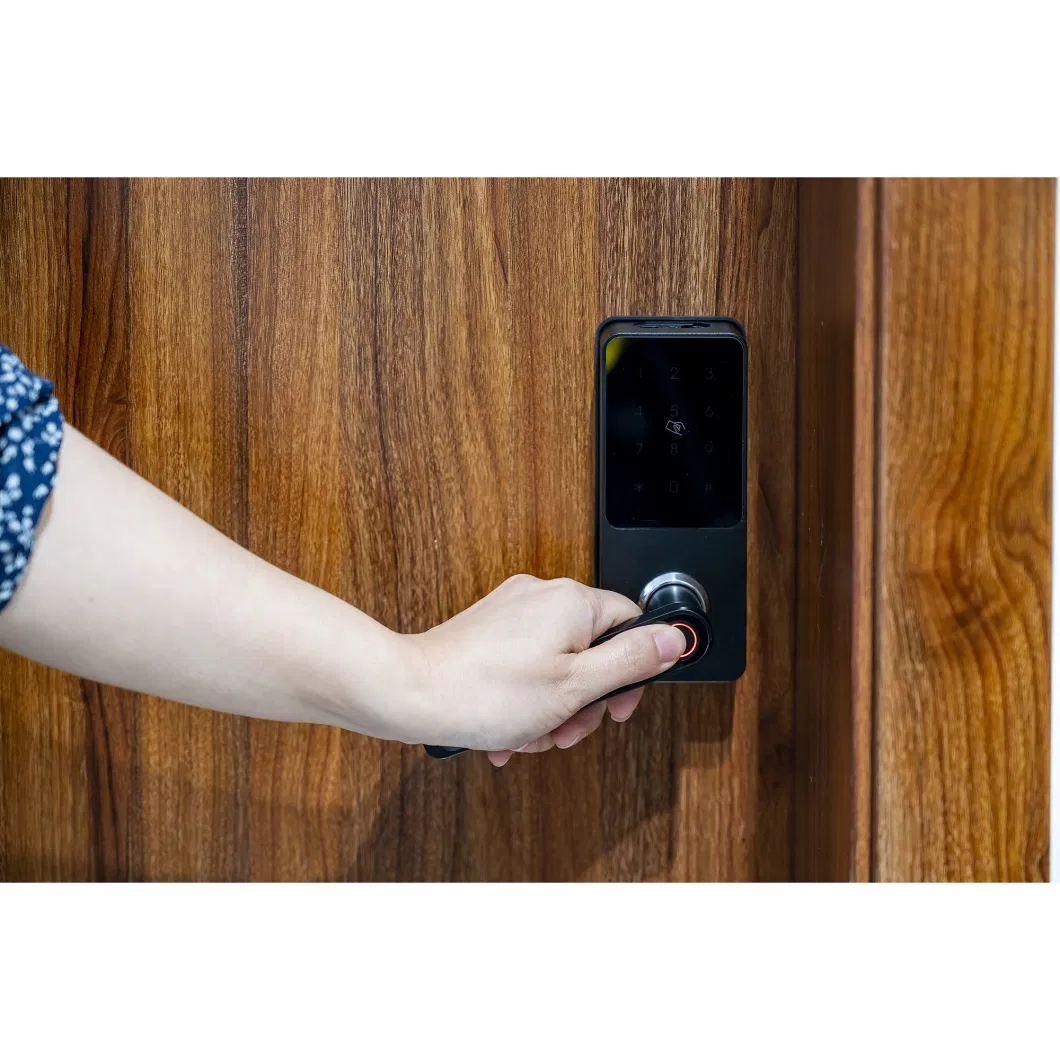 Keyless Keypad Biometric Fingerprint Door Lock for Home