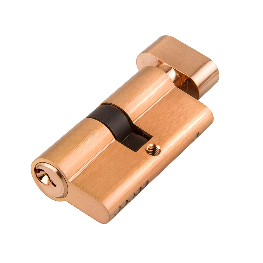 Rose Golden Euro Profile Brass Master Key Cylinder Lock Body Cylinder Door Lock