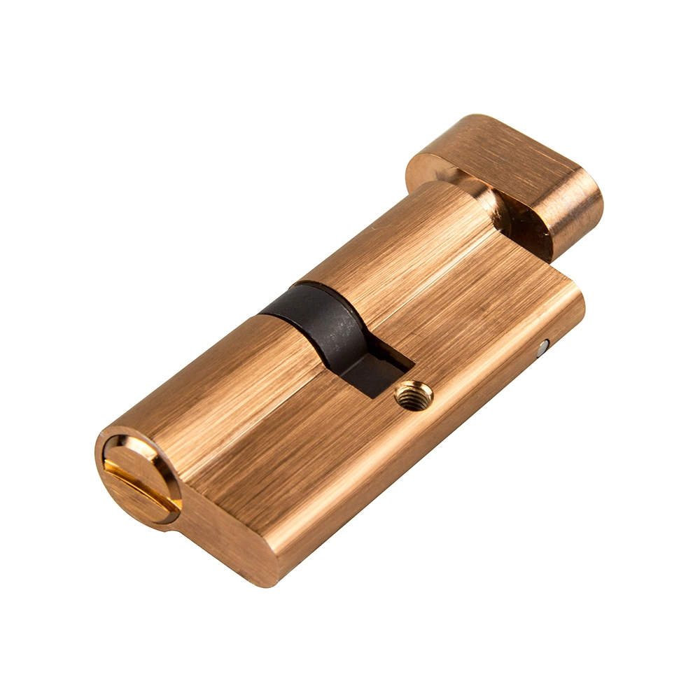 Rose Golden Euro Profile Brass Master Key Cylinder Lock Body Cylinder Door Lock