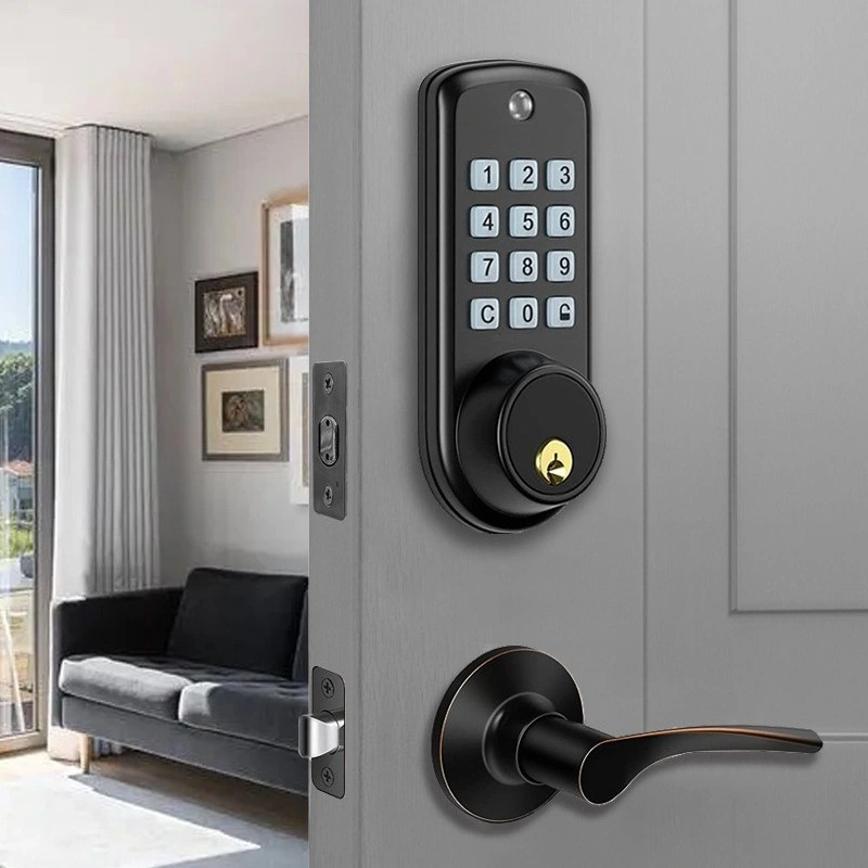 Anti-Peep Black Smart Bedroom WiFi Electronic Intelligent Tuya Digital Fingerprint Smart Door Lock